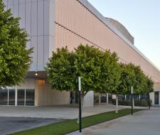 King's College Murcia Частная школа Кингс Колледж Мурсия