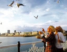Sprachcaffe Brighton  Языковая школа Шпрахкафе Брайтон