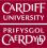 Cardiff University Университет Кардиффа Cardiff University