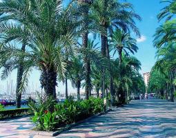 Языковая школа Энфорекс Аликанте (Enforex Alicante)