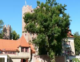 GLS Munich Castle Летняя школа GLS Munich Castle