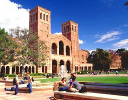 University of California Summer Летний лагерь UCLA Los Angeles