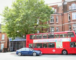 Hampstead School of English London Школа Хампстед Лондон