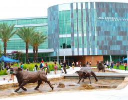 University of South Florida, Университет University of South Florida
