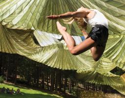Idyllwild Arts Academy Школа-пансион Idyllwild Arts Academy
