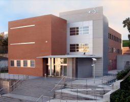 Cesine Business School Бизнес-школа CESINE Business School