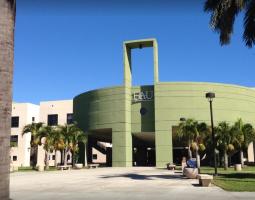 Florida Atlantic University (Университет Флорида Атлантик)