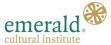 Emerald Cultural Institute Летний лагерь Emerald