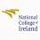 National College of Ireland ATC Летний детский лагерь в Ирландии
