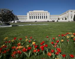 IUG Geneva International University Geneva Университет IUG Geneva