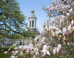 Trinity College Dublin Летний детский лагерь Trinity College