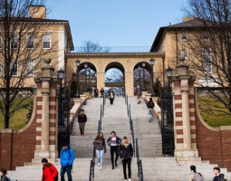 Tufts University Summer Camp (Летний лагерь университета Tufts)