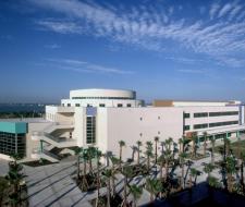 Texas A&M University Corpus Christi, Техасский университет A&M в Корпус-Кристи