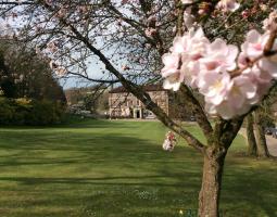 Bede’s Windlesham Summer School летняя школа Bede’s Windlesham