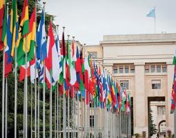 International Institute in Geneva (Международный институт Женевы)