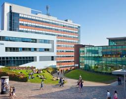 University of Sheffield (Университет Шеффилда)