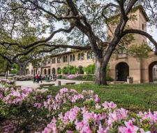 Louisiana State University (Университет Штата Луизиана)