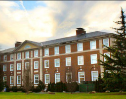 Adelphi University (Университет Адельфи)