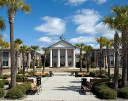 University of South Carolina (Университет Южной Каролины)