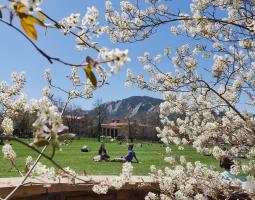University of Colorado at Boulder (CU) Колорадский университет в Боулдере