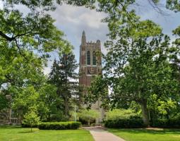 Michigan State University (MSU) Университет штата Мичиган