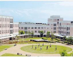 Niigata University Университет Ниигаты