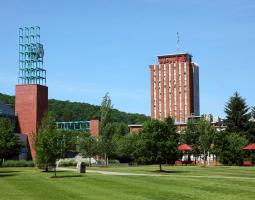 Binghamton University (BU) Университет Бингемтон