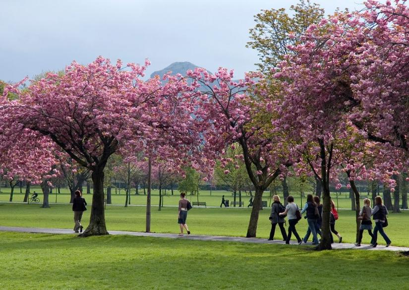 University of Edinburgh Эдинбургский университет University of ...