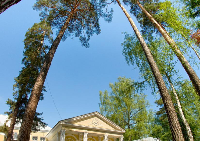 Гимназия Жуковка Москва - Zhukovka Gymnasium 0