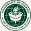 University of Hawaii Manoa Летний лагерь в университете Маноа