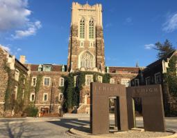 Lehigh University (LU) Лихайский университет