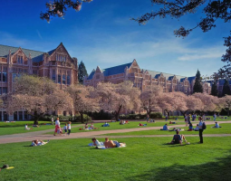 University of Washington (UW) Вашингтонский университет