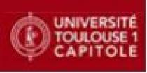 Лого Toulouse 1 University Capitole Университет Тулуза 1