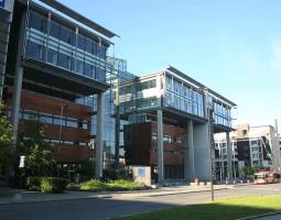 BI Norwegian Business School (Школа Менеджмента Norwegian Business School)