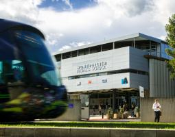Montpellier Business School Бизнес Школа Montpellier Business School