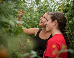 St. Timothy's School (частная школа St. Timothy's School)