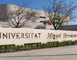 Universidad Miguel Hernández (UMH) Университет Мигеля Эрнандеса в Эльче