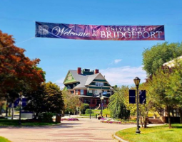 University of Bridgeport (Университет Бриджпорт)