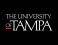 University of Tampa Университет Тампы University of Tampa