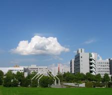 Nara Institute of Science and Technology (NAIST) Институт науки и технологий Нары