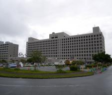 University of Ryukyus Университет Рюкю