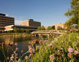 Oakland University (OU) Университет Окленд