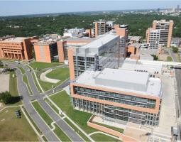 University of Arkansas for Medical Sciences (UAMS) Университет медицинских наук Арканзаса