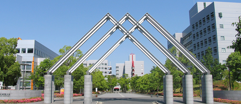 Nara Institute of Science and Technology (NAIST) Институт науки и