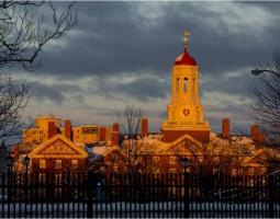 FLS Harvard STEM Camp Летний лагерь Harvard STEM Camp