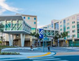 Florida International University (FIU) Международный университет Флориды