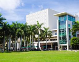 University of Miami Summer (летний академ лагерь при Университете Майами)