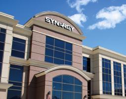 Synergy University Dubai Синергия Университет Дубай