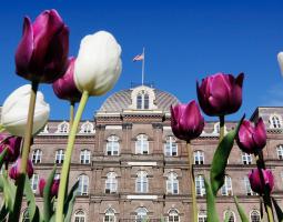 Vassar College Колледж Вассар