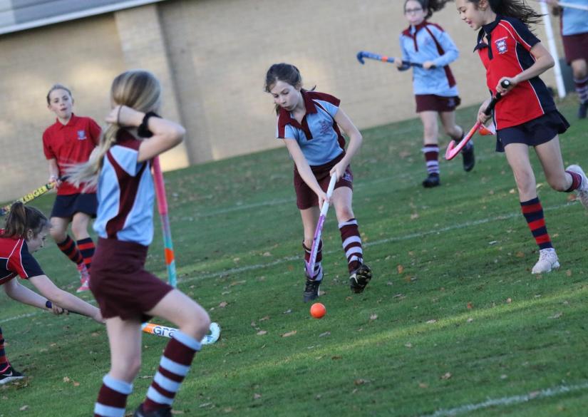 Holmewood House School (частная школа Holmewood House School) (Тонбридж